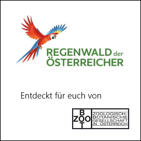 Administration & Öffentlichkeitsarbeit (Teilzeit, 18 Wochenstunden) Verein Regenwald der Österreicher